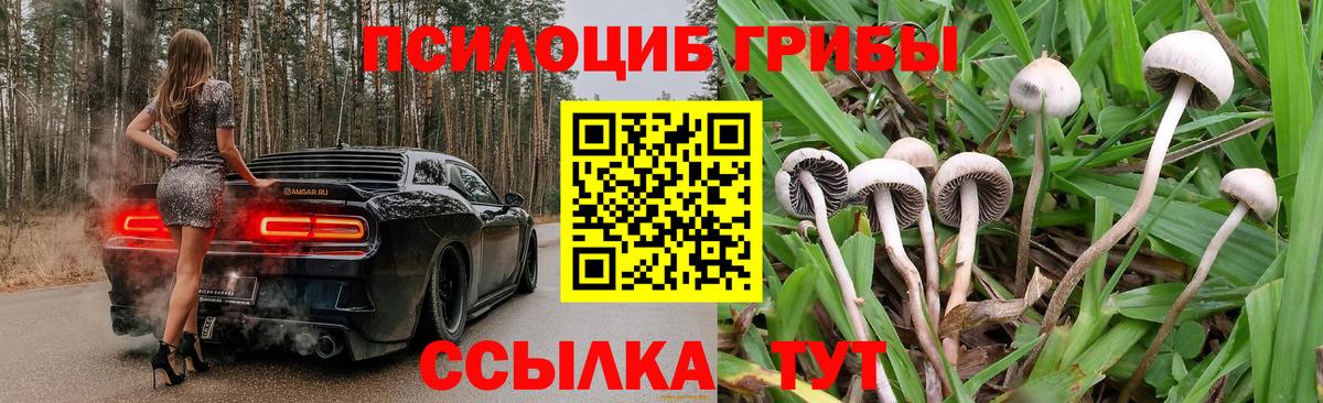 Галлюциногенные грибы Cubensis  Вход с VPN  Галлюциногенные грибы GOLDEN TEACHER  Карабулак 